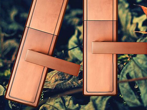 大余24小时上门开锁公司